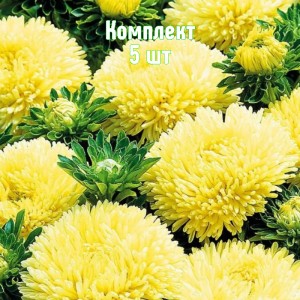 Комплект 5шт / Астра Желтая башня
